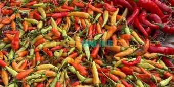 Cabai Anjlok, Simak Update Lengkap Harga Sembako Yogyakarta Hari Ini 23 Desember 2025