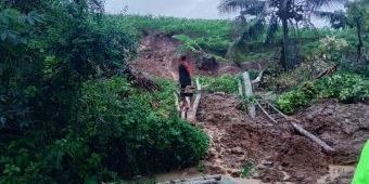 Akibat Hujan Deras, Longsor Terjang Dua Kecamatan di Trenggalek, Sejumlah Jembatan Rusak