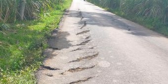 Baru Seminggu Diperbaiki, Proyek Jalan di Jember Sudah Rusak Lagi