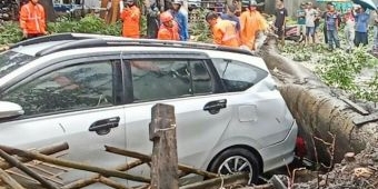 Hujan Deras Disertai Angin Kencang Landa Malang, 4 Rumah dan 1 Mobil Rusak Tertimpa Pohon