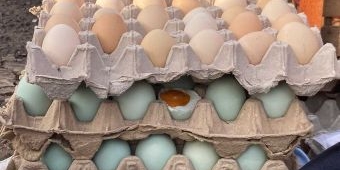 Harga Sembako Jatim Minggu 20 April 2025: Telur Ayam Kampung Rp44.565/kg, Daging Sapi Rp121.285/kg