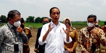 Kunker ke Jawa Timur, Jokowi Tinjau Lahan Tebu di Mojokerto