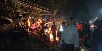  Tengah Malam, Pohon Tumbang di Kota BatuTimpa Kios Bunga dan Kabel Telkom