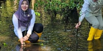DPD RI Tanam Mangrove di Sulut, Ning Lia: Wujud Nyata Tanggung Jawab Moral Senator untuk Bumi