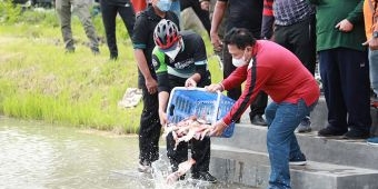 Semula Rawa-rawa, Eks TKD di Sidoarjo Disulap Jadi Kolam Pancing