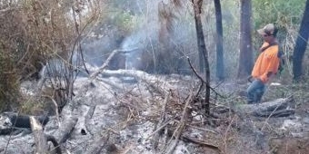 ​Hutan Gunung Arjuno Kebakaran, 12 Pendaki Asal Mojokerto Terjebak di Panderman