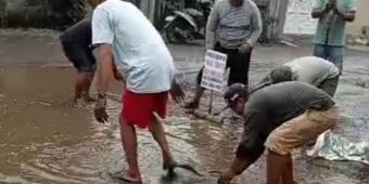 Protes Jalan Rusak, Warga Desa Ngembul Blitar Lepas Puluhan Kilogram Lele ke Kubangan Air