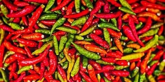 H+6 Idul Fitri, Harga Cabai Rawit Merah Naik Rp77.862/kg