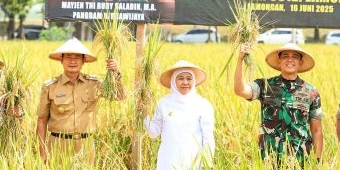 Apresiasi Kampung Pangan Terpadu di Lamongan, Gubernur Khofifah Siap Replikasi Integrated Farming