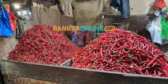Harga Cabai Merah Keriting di Aceh Tembus Rp122.500 per Kg, Naik Rp64 Ribu