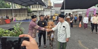 PCNU Surabaya Terima Sapi Kurban dari Gubernur hingga Mitra Kelembagaan, Distribusi Pakai Undian
