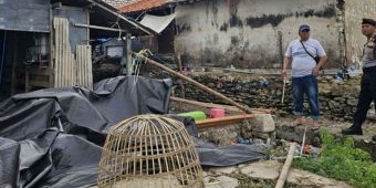 Judi Sabung Ayam di Pamekasan Digerebek, 6 Orang Diamankan