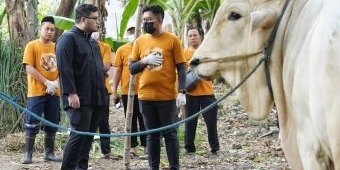PDIP Kabupaten Kediri Kurban 4 Sapi, Daging Dibagikan untuk Warga Prasejahtera