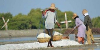 Produksi Garam Pamekasan Tahun 2018 Masih Sangat Minim