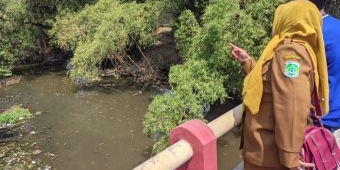 Diduga Tercemar, Kades Bulusari Pasuruan Sisir Sungai Kambeng Cek Sumber Limbah