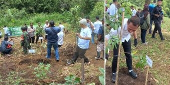 Siapkan Lahan 3 Hektare, UIN Maulana Malik Ibrahim Malang Tanam 1.000 Pohon