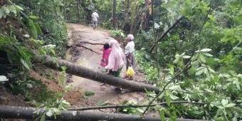 Musim Pancaroba, Masyarakat Diminta Waspada Cuaca Ekstrem dan Dampaknya