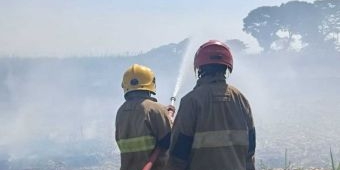 Kebakaran Ladang Tebu di Kediri, Kerugian Capai Rp100 Juta
