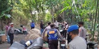 Banyak yang Kabur, Begini Keseruan Polresta Sidoarjo Gerebek Judi Sabung Ayam di Glagaharum