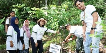 Pj Wali Kota Kediri Tanam Pohon Bersama PLN dan Perhutani, Wujud Nyata Kolaborasi Peduli Lingkungan