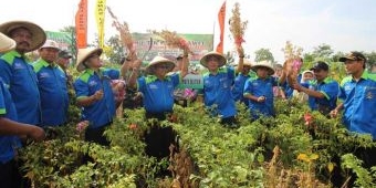 Bupati Blitar Pimpin Panen Cabe Rawit dan Kedelai di Panggungrejo