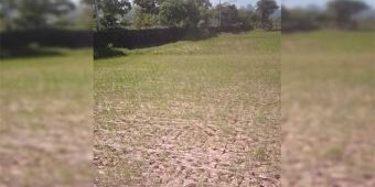 Drainase Tak Berfungsi, Beberapa Lahan Persawahan Tadah Hujan di Pacitan Dibiarkan Kering