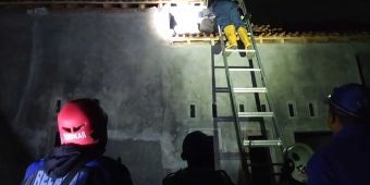 Damkar Kabupaten Pasuruan Evakuasi Sarang Tawon Vespa Raksasa di Wonogriyo