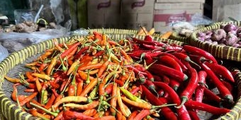 Update Harga Sembako Surabaya 2 Juni 2025: Cabai Besar Naik hingga Rp9 Ribu, Ikan Teri Merosot