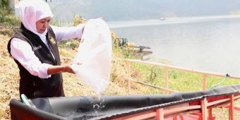 Lawan Perubahan Iklim, Gubernur Khofifah Galakkan Aksi Tanam Pohon