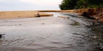 Dugaan Pencemaran Pantai Lombang Akibat Limbah Tambak Udang, Disparbudpora Tunggu Kajian DLH