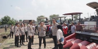 Tim Verifikasi Lomba Ketahanan Pangan Mabes Polri Tinjau Lahan Jagung di Prambon Sidoarjo