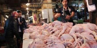 Tahun Baru, Harga Daging Ayam  di Lamongan Capai Rp 34 Ribu per Kilogram
