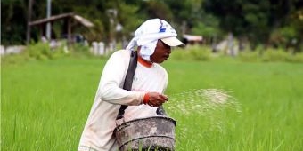 Petani di Madiun Beli Pupuk Bersubsidi di Atas HET