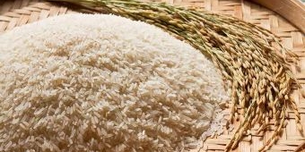 Waspada Beras Palsu dan Oplosan, Begini Cara Mengenalinya