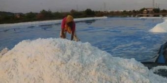 Produksi Garam di Bangkalan Kemungkinan Turun 22%, ini Penyebabnya