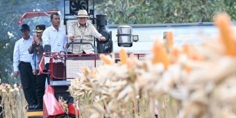 Pimpin Panen Raya Jagung 1,23 Juta Ton Serentak di Tuban, Presiden Prabowo Coba Combine Harvester