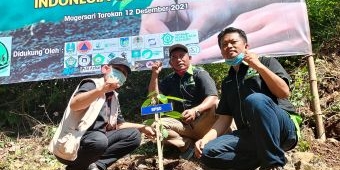 Wilis Lestari Hijaukan Embung Magersari di Lereng Wilis