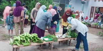 Bagikan Sayur Mayur Gratis ke Tetangga di Masa Pandemi, Jumat Berkah ala Guru Honorer di Jember