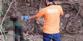 Tinggal Tengkorak, Jasad Mr X di Tuban Ditemukan Tergantung di Akar Pohon Tengah Hutan