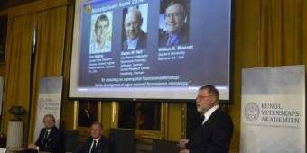 Nobel Kimia 2014 untuk Keberhasilan Menembus 