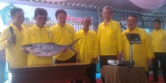 Bandeng 6,72 Kg Raih Juara Pertama, 4 Bandeng Kawak Sidoarjo Dilelang