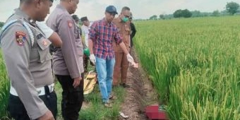 Pria di Gresik Ditemukan Tewas Diduga Tersengat Jebakan Listrik di Lahan Pertanian