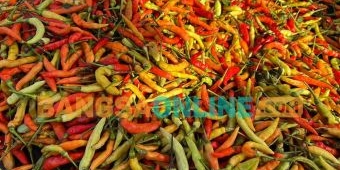 Harga Pangan Nasional Hari Ini Alami Lonjakan, Cabai Rawit Naik Rp7 Ribu