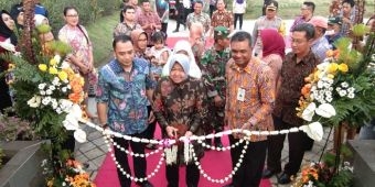 Wali Kota Risma Resmikan 70 Taman Baru Sekaligus