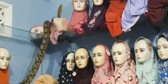 Masuk ke Toko Hijab, ​Ular Piton Seukuran Lengan Orang Dewasa Berhasil Dievakuasi Tim Damkar Blitar