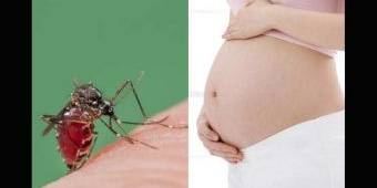 Belum Ada Obatnya, Virus Zika Bikin Kepala Bayi Mengecil