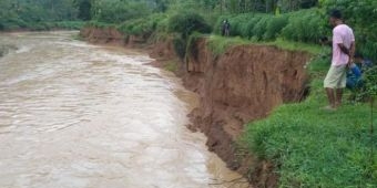 Abrasi Sungai Grindulu Semakin Meluas