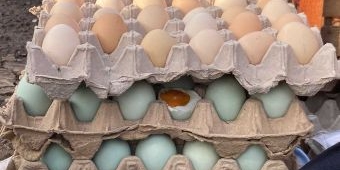 Harga Sembako Semarang Hari ini: Telur Ayam Kampung Turun, Cabai Tampar Naik