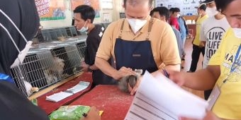 Meriahnya Malang Rabbit Show 2022, Kelinci Milik Wali Kota Batu Sabet Tiga Juara