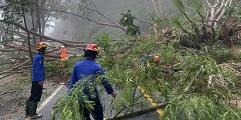 Hujan Deras, Tanah Longsor Terjadi di Desa Nglinggis Trenggalek